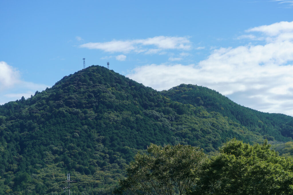 山