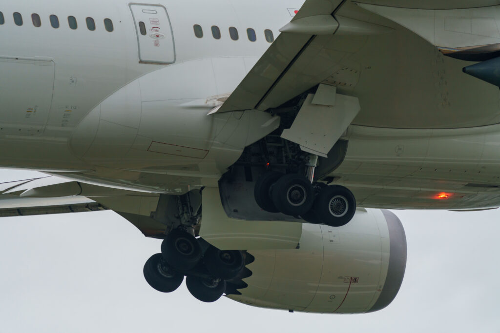 JAL B787