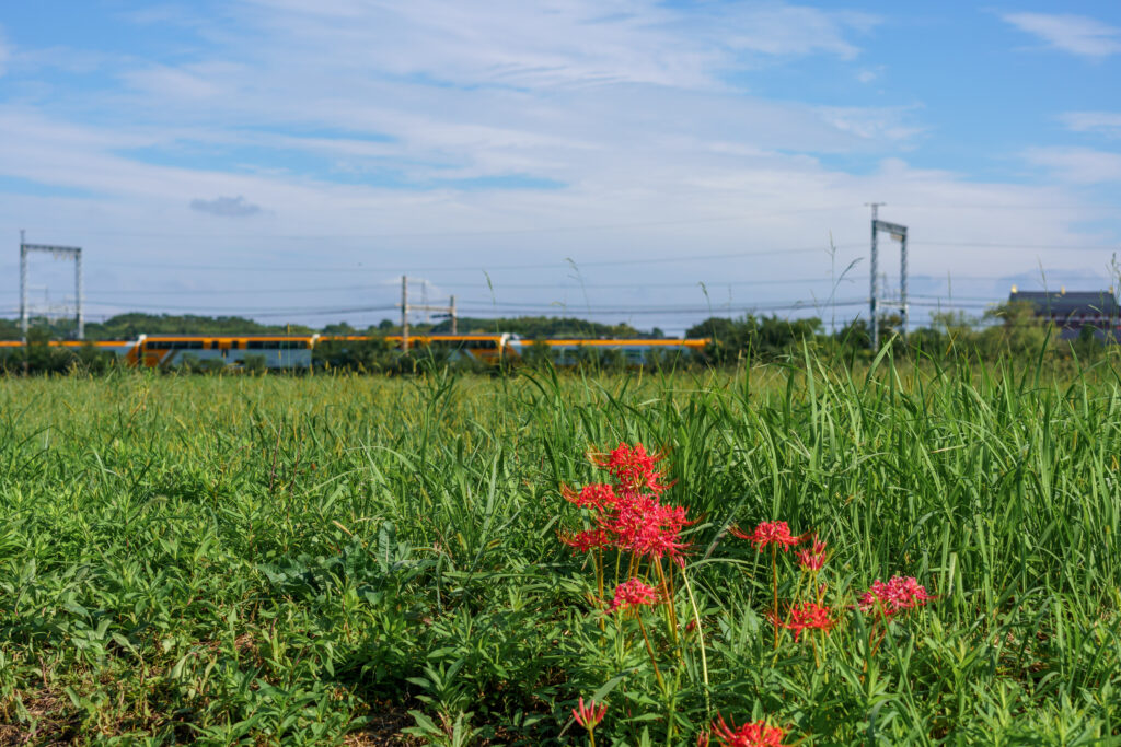 平城宮跡を走る近鉄特急
